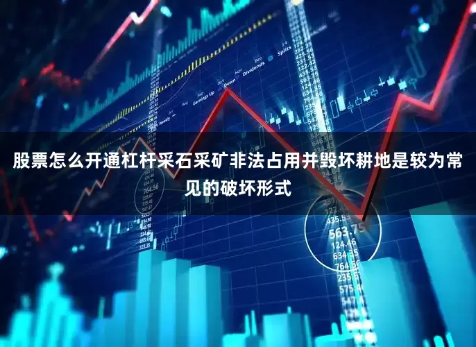 股票怎么开通杠杆采石采矿非法占用并毁坏耕地是较为常见的破坏形式