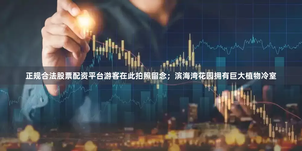 正规合法股票配资平台游客在此拍照留念；滨海湾花园拥有巨大植物冷室